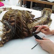 Professional Development Awards 2025